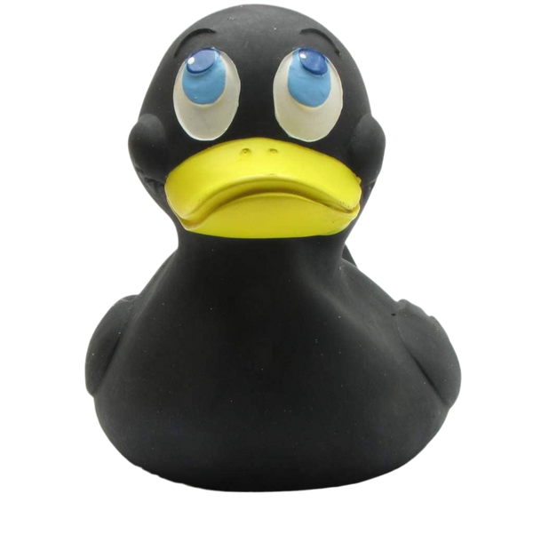 XXL Zwarte Eend