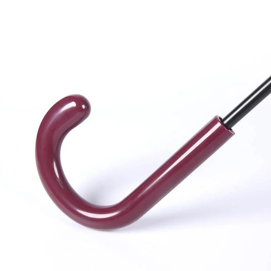 Harry Potter transparent umbrella - Gryffindor emblem