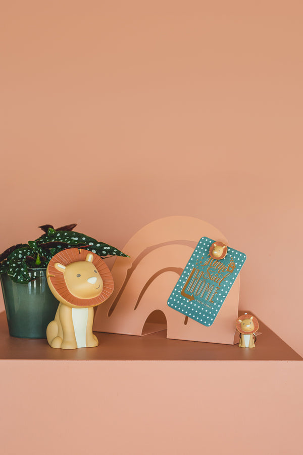 Set van 4 magneten - Hakuna
