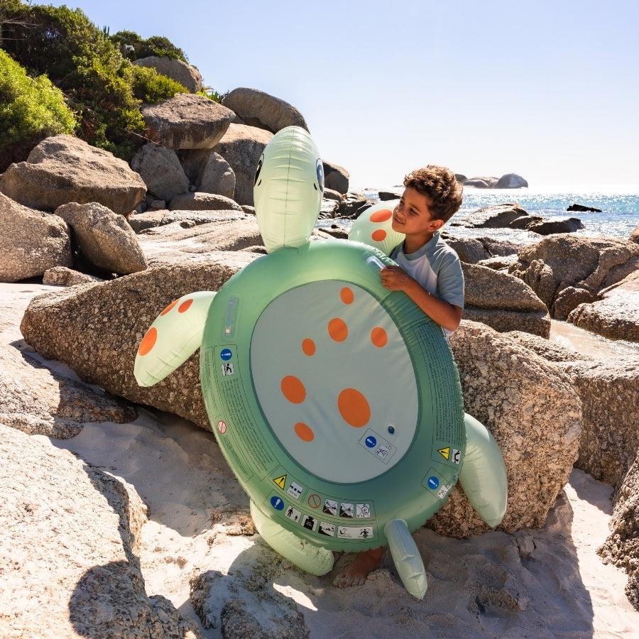 Pool Float Turtle - Multicolor - Dreamscape