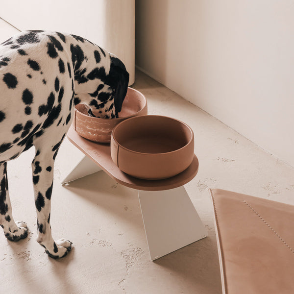 Coffret posture optimale pour chiens – vue principale