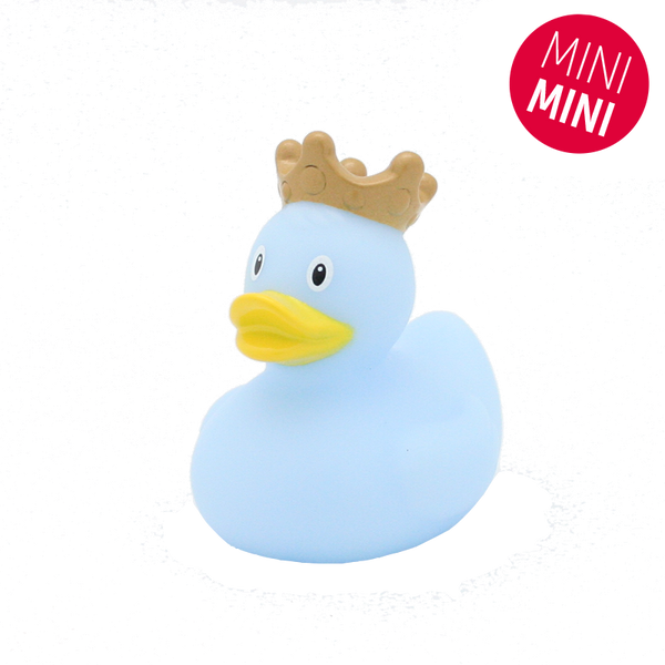 Mini blauwkroon-eendje