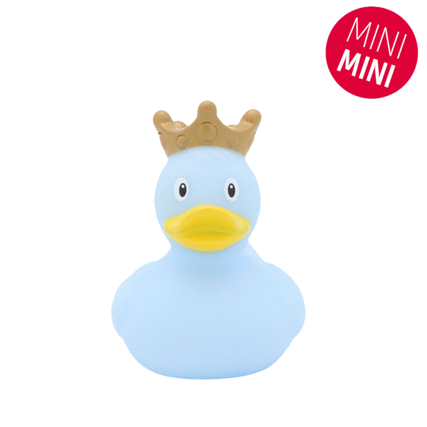 Mini blauwkroon-eendje