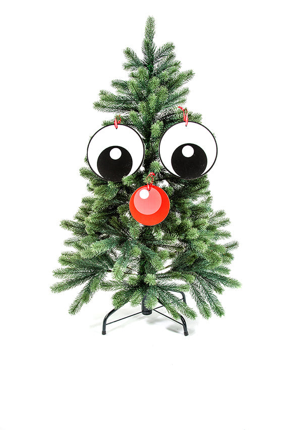 Meneer Boom