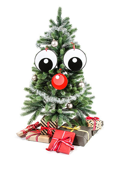 Meneer Boom