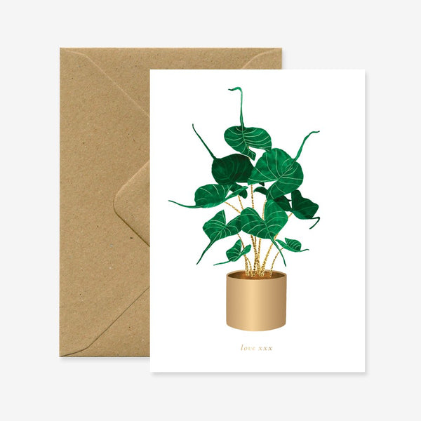 Alocasia Stingray - Carte de voeux