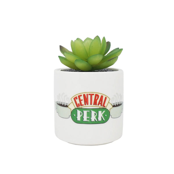 Bloempot met nepvriendenplant - Central Perk