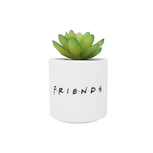 Bloempot met nepvriendenplant - Central Perk