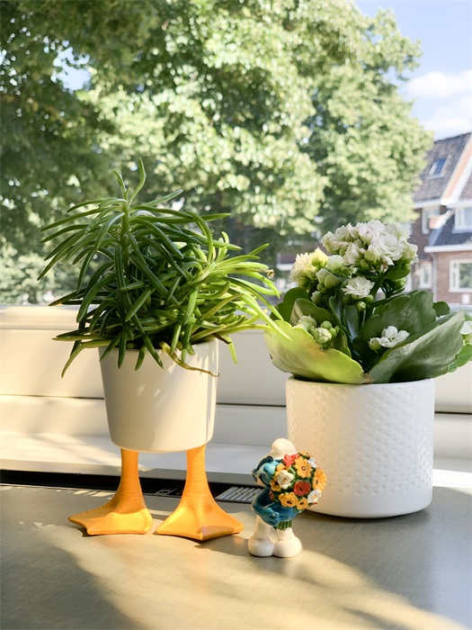 Pot de fleur Pattes de Canards Bitten – Cache-pot original
