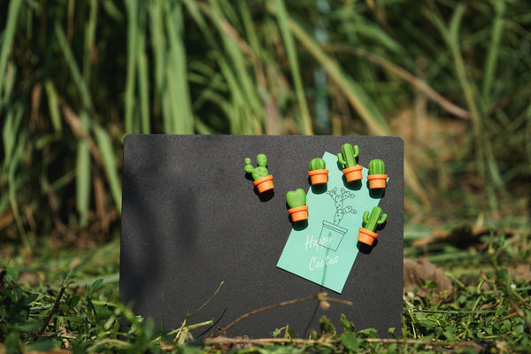 | Boutique d'objets cadeaux designs
