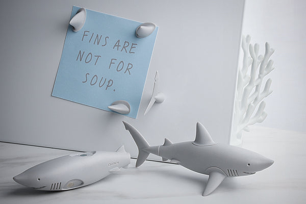 Magnets Requin Qualy | Boutique d'objets cadeaux designs