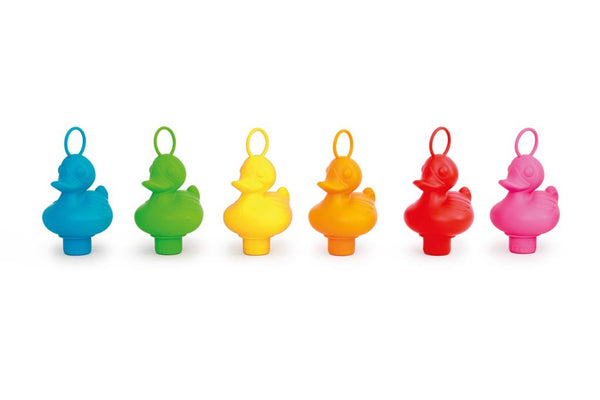 Eendjes vissen - Regenboogeend