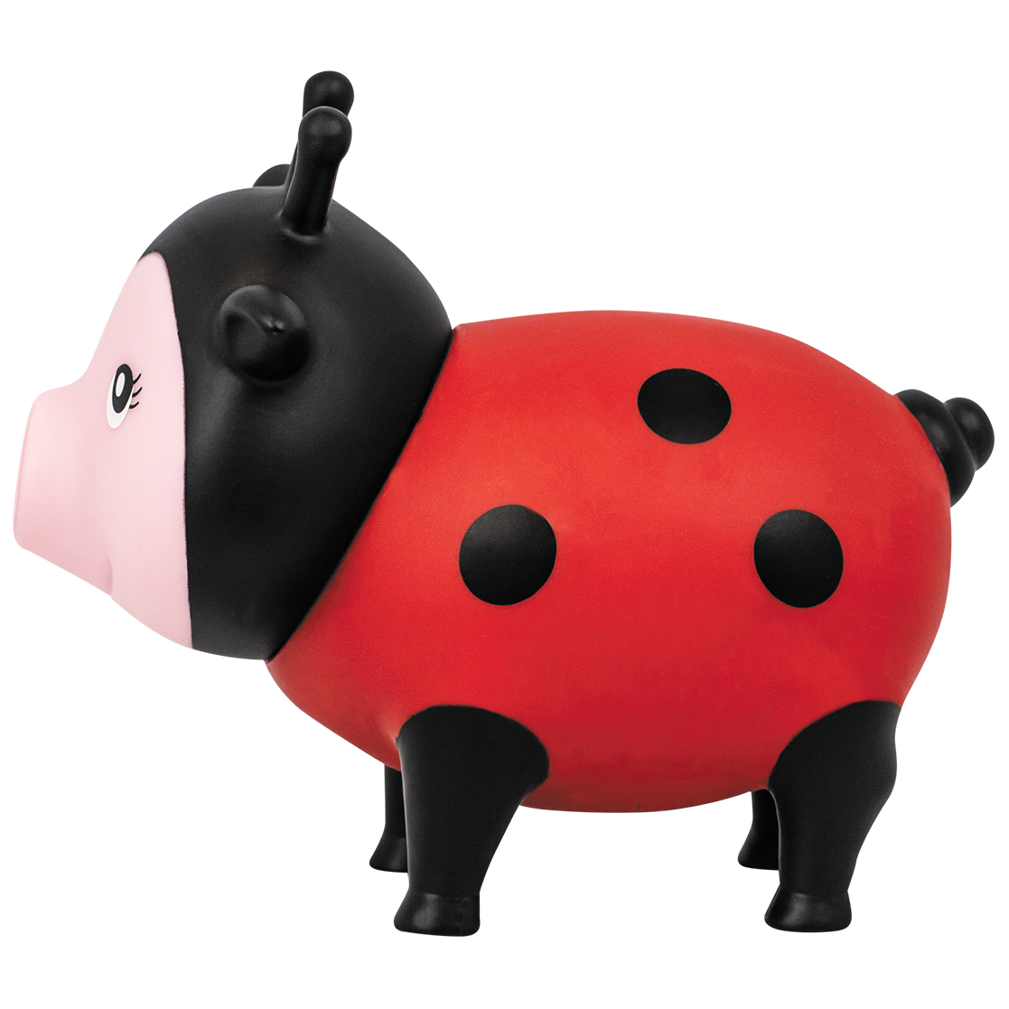 Pig Ladybug