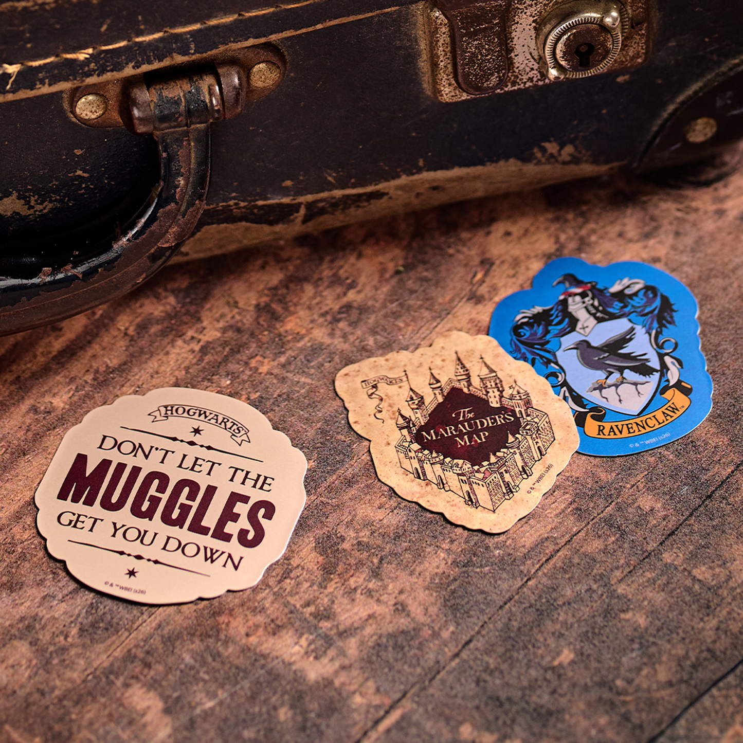 Harry Potter Vinyl Sticker Don't Let The Muggles