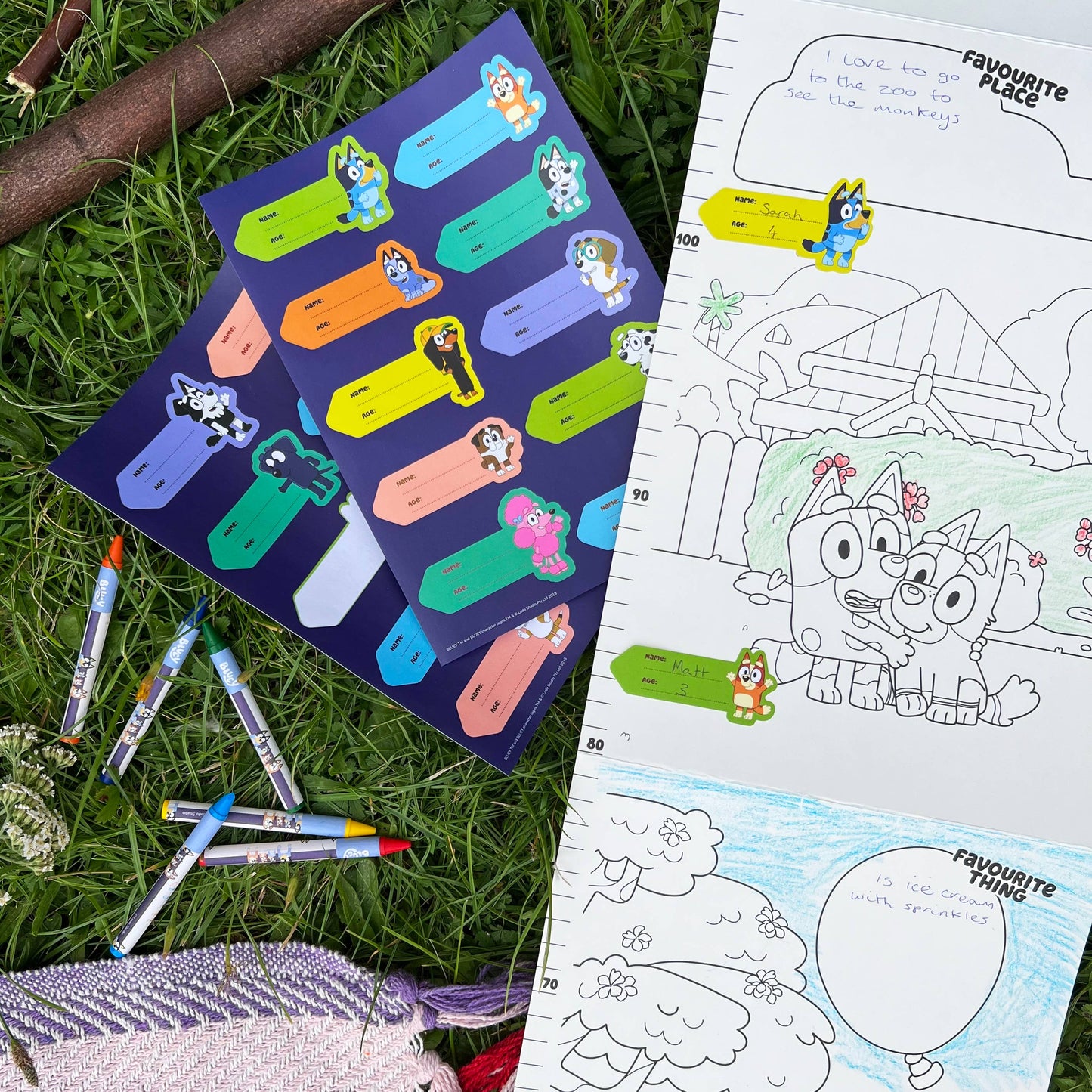 Tableau des – hauteurs de Bluey | Blueprint Collections – vue 11