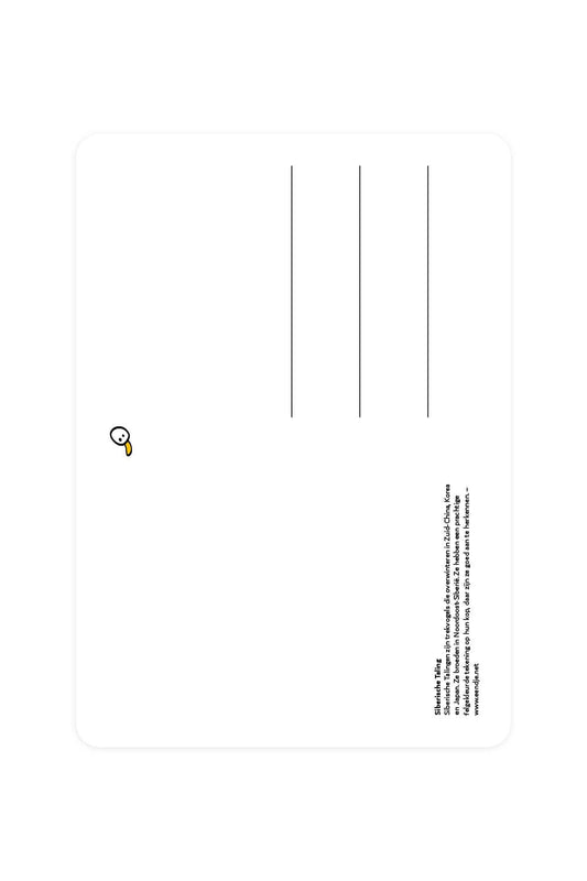 Postcard with Siberian Teal