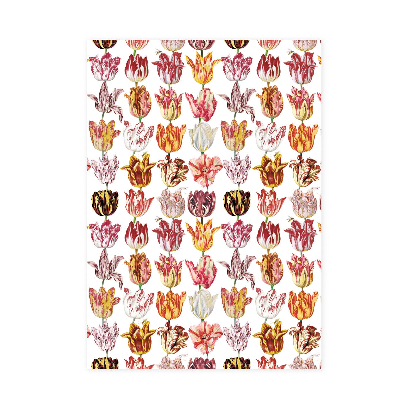 Torchon Jacob Marrel - Tulipes