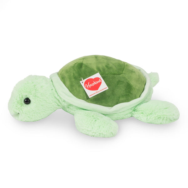 Knuffel van Sandy de schildpad