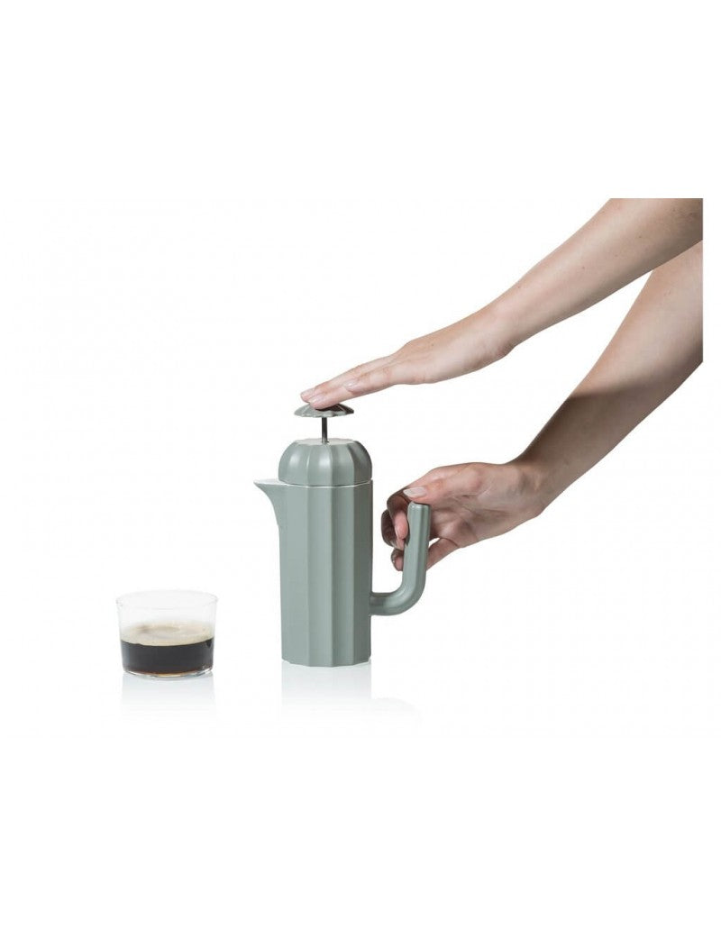 cafetiere cactus bitten