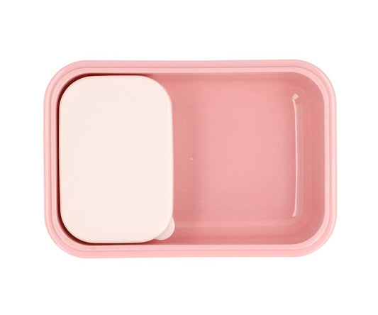 Insect Bento Lunch Box