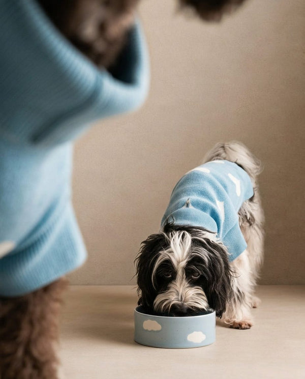 Bol pour animaux Cloud 14cm Ensemble de 2 pièces