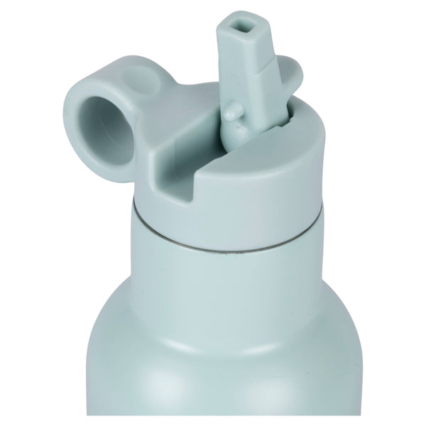Gourde Lion 420ml