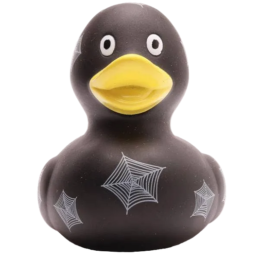 Canard Toile d'araignée
