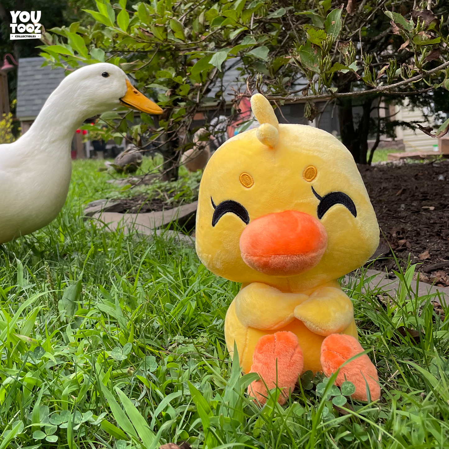 Duck Plush Toy (9in)