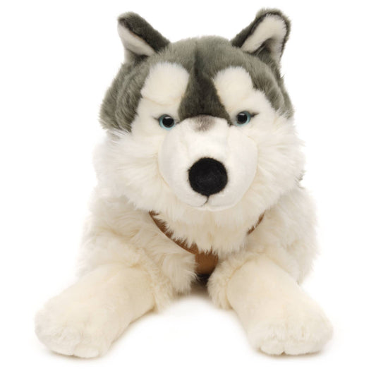 Husky plush toy, lying down (with harness)