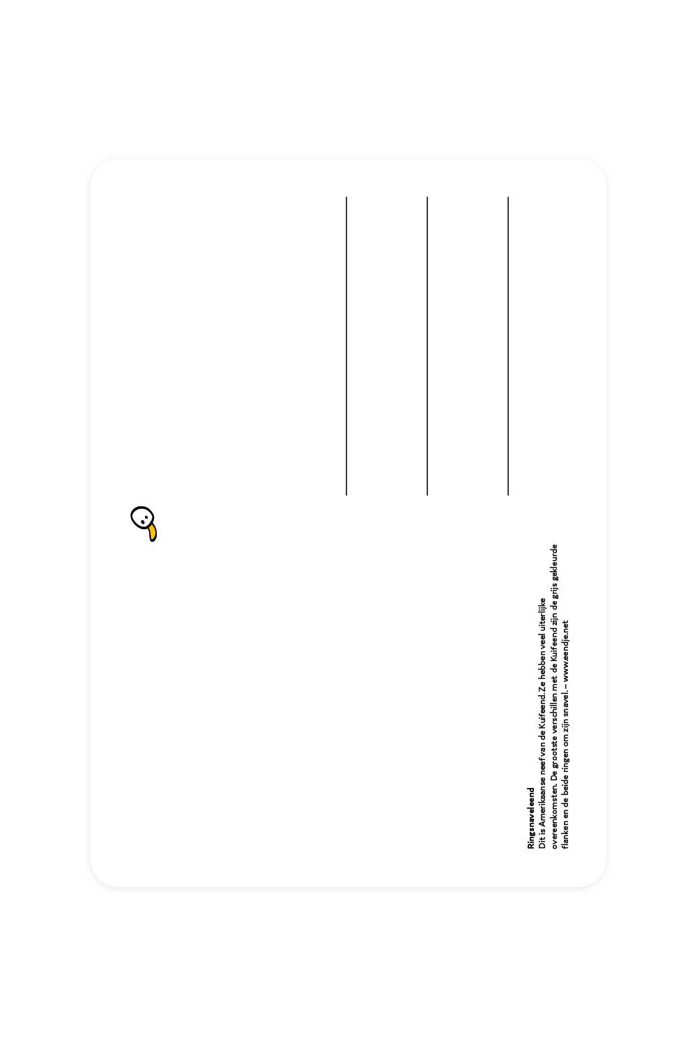 Carte postale avec canard aux haricots annelés