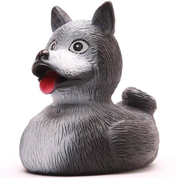 Canard Husky