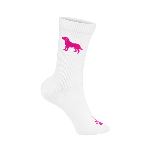 Labrador