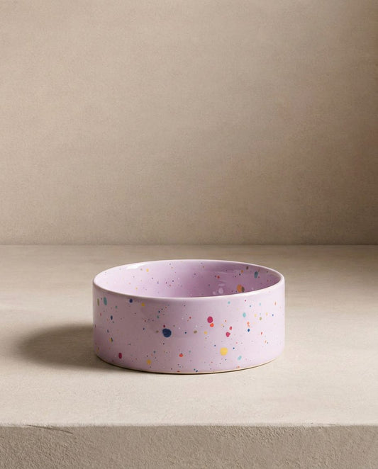New Party Pet Bowl 14cm Set 2 Lilac