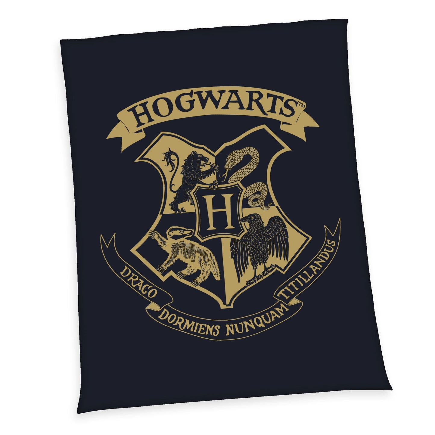 Harry Potter fleece deken - Zweinstein