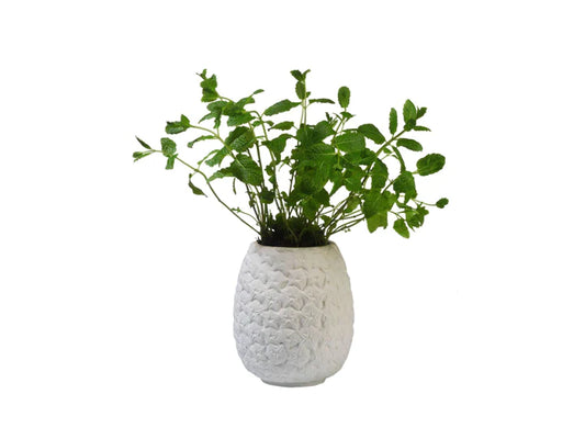 Pineapple flower pot