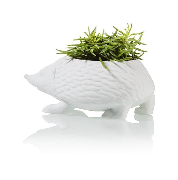 Pot de fleur Hérisson Bitten – Cache-pot original