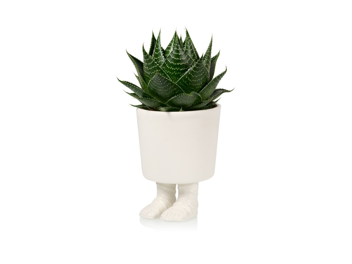 Pot de fleur Sandales de Gladiateur