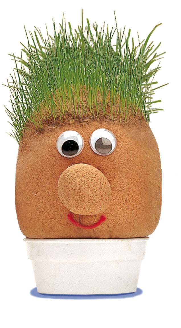 TÊTE D'HERBE