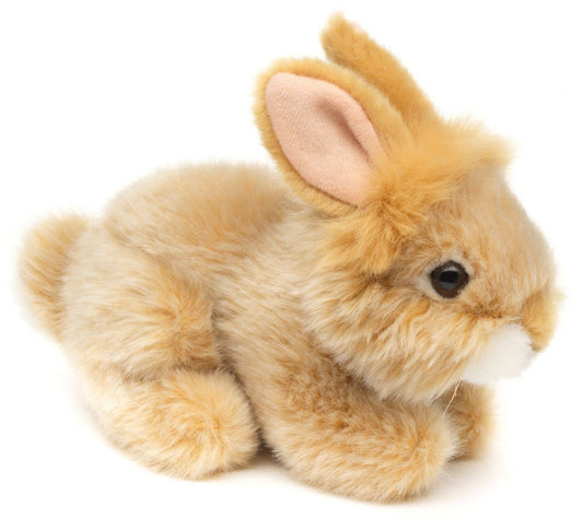 Peluche Lapin Angora - Beige