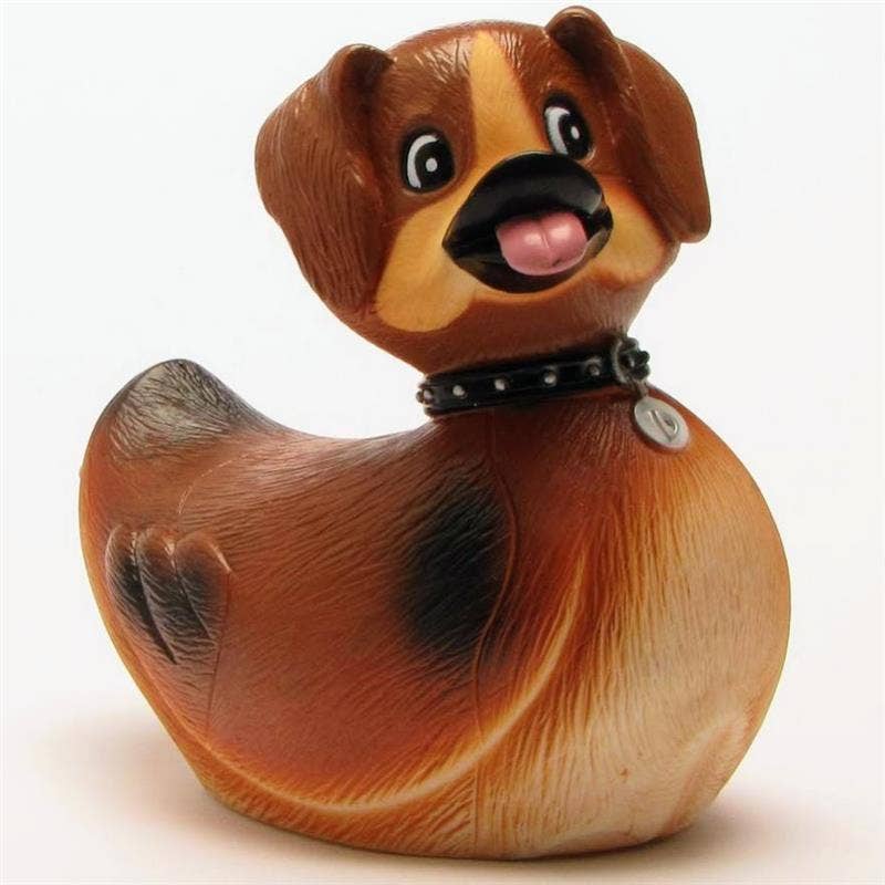 Canard Chien « Duckhound »