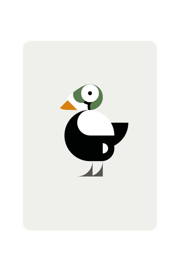 Ansichtkaart met een eider die een bril draagt