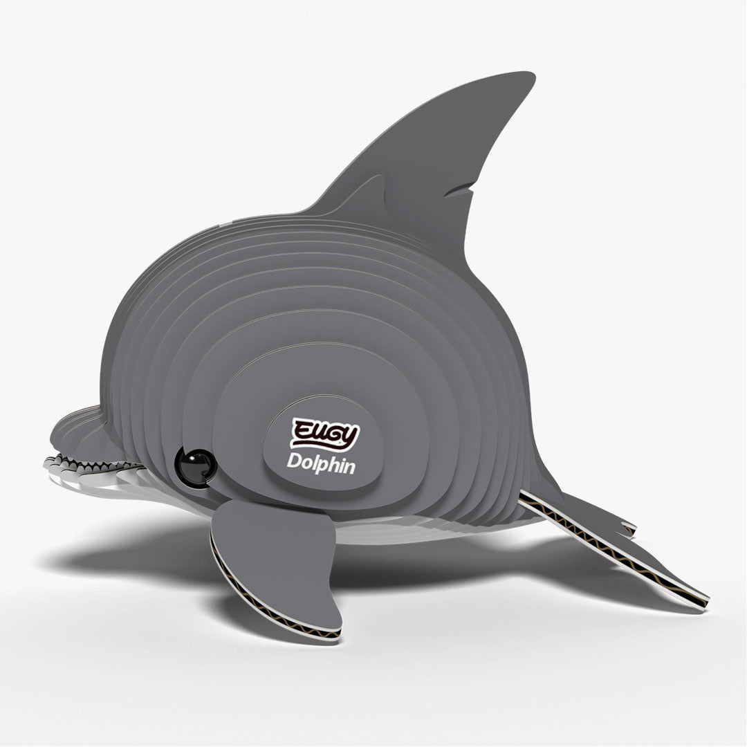 021 Dolphin