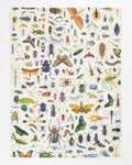 Torchon Insectes