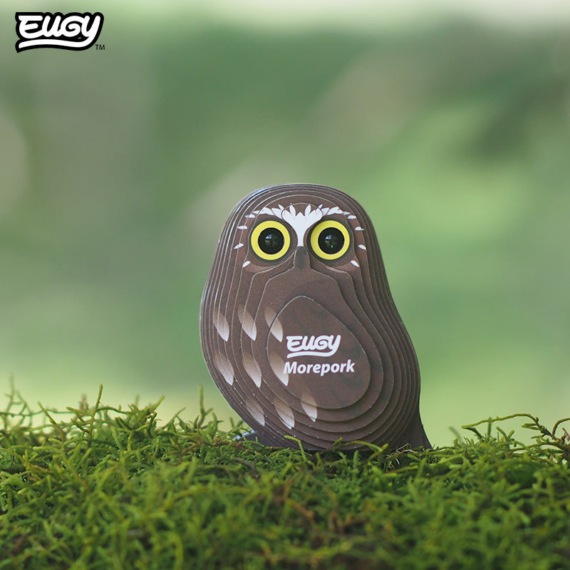 036 Morepork (Ruru)