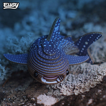 049 Whale Shark