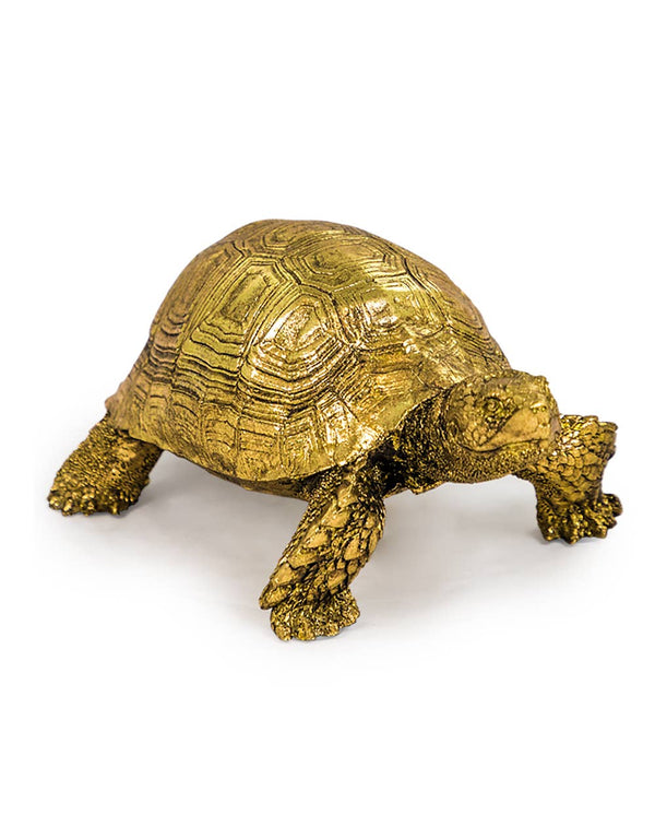 Klein gouden schildpadje