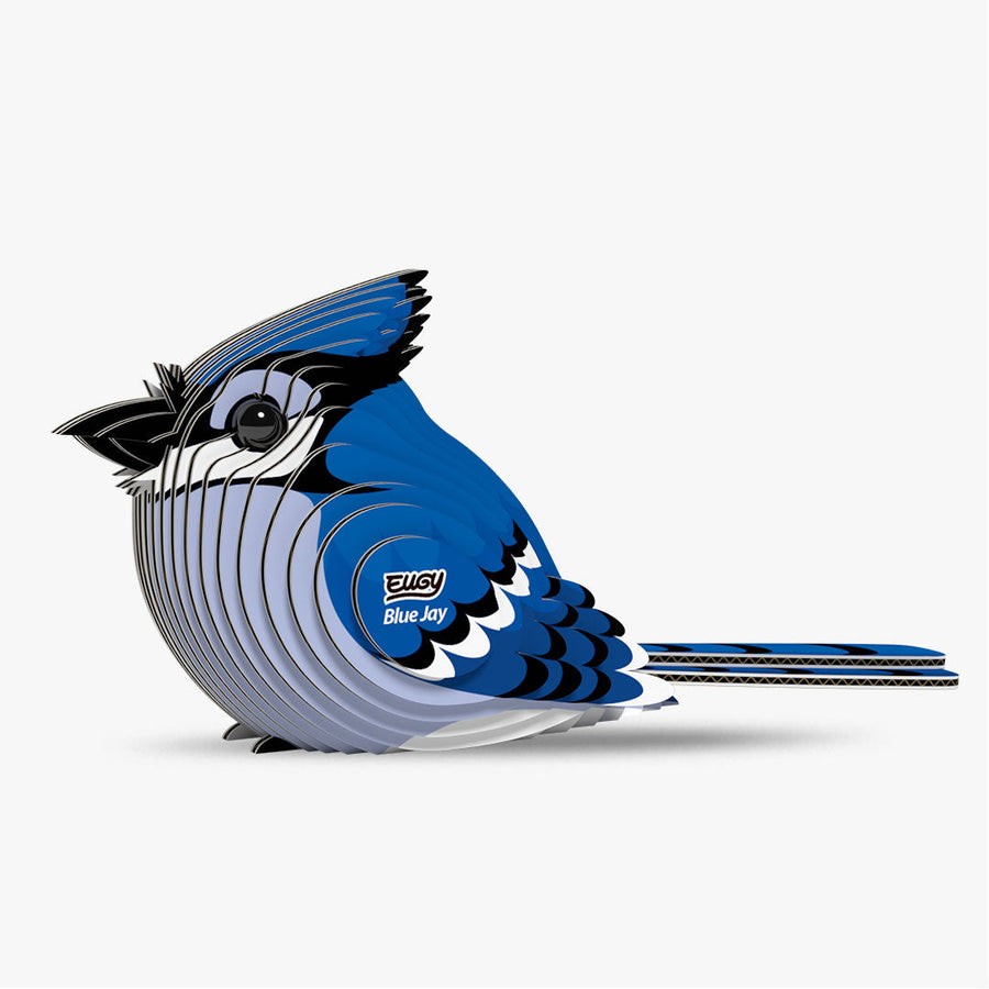 Geai bleu