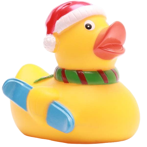 Kerstskiënde eend