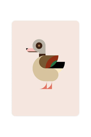 Carte Postale avec Nile Goose