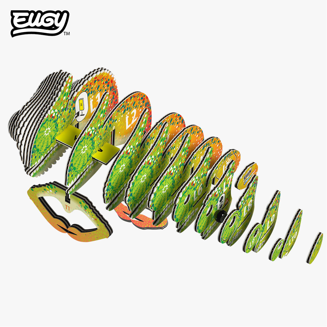 075 Chameleon